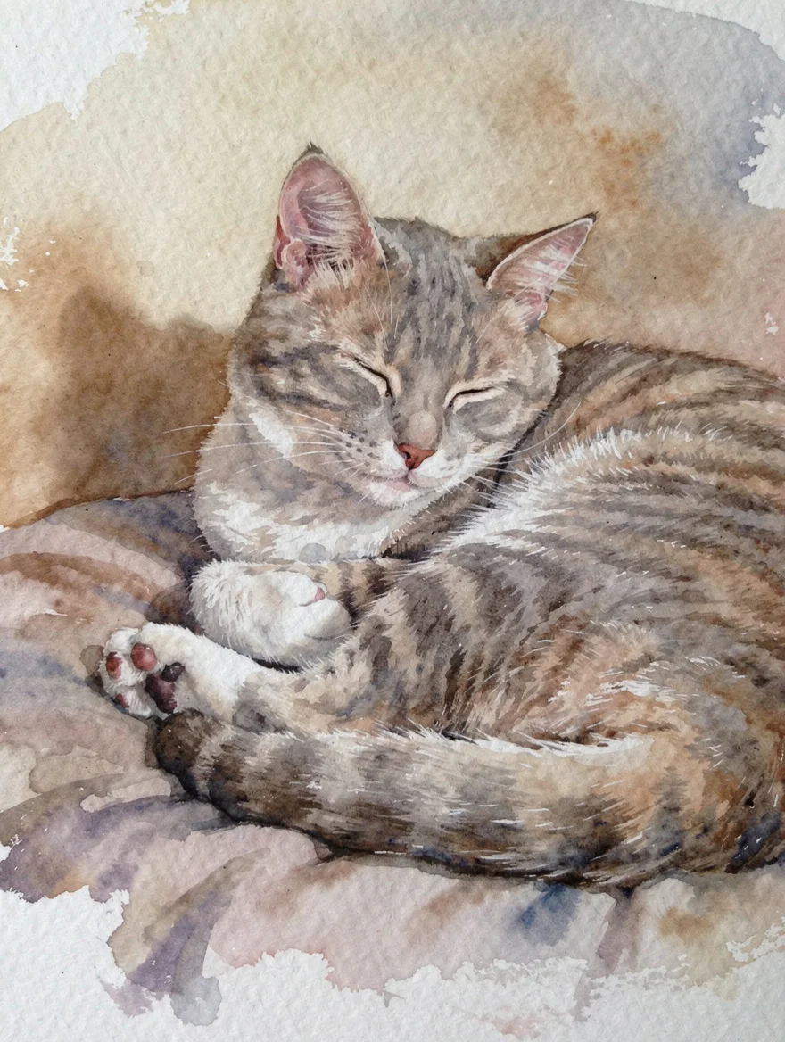 A watercolour portrait of my cat exactly as he sleeps every Sunday — paws tucked, one ear cocked, absolutely certain he is the most important member of the household